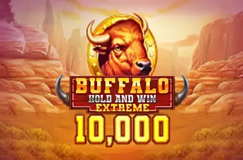 Buffalo Hold and Win