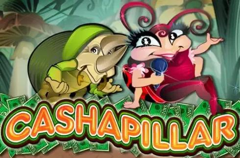 Cashapillar