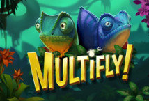 MultiFly