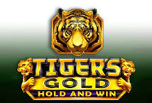 Tiger's Gold Hold and Win