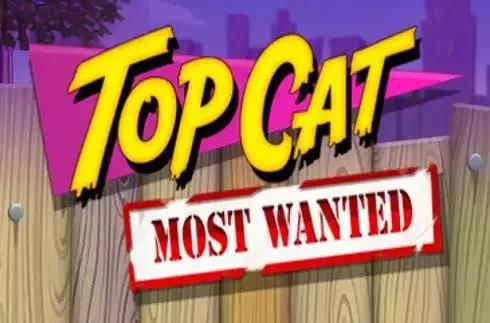 Top Cat