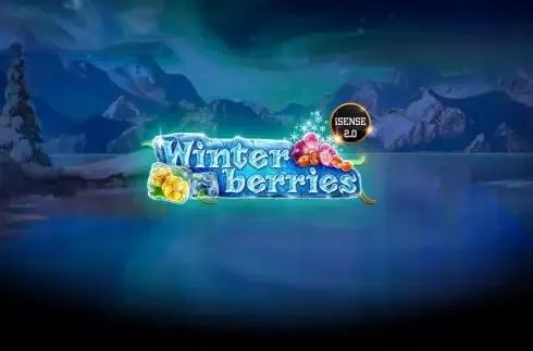 Winter Berries