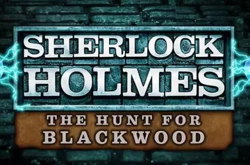Sherlock Holmes The Hunt for Blackwood Slot