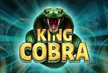 King Cobra