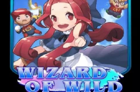 Wizard of Wild
