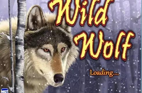 Wild Wolf