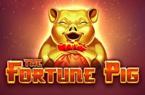 Fortune Pig